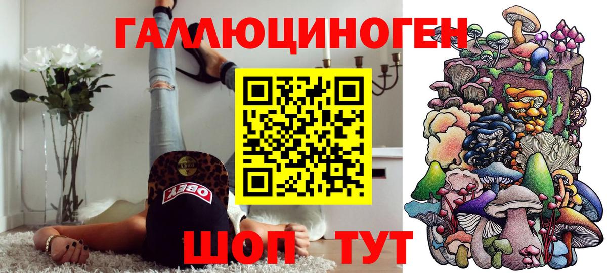 Галлюциногенные грибы Psilocybe  Вход с VPN  Владивосток 